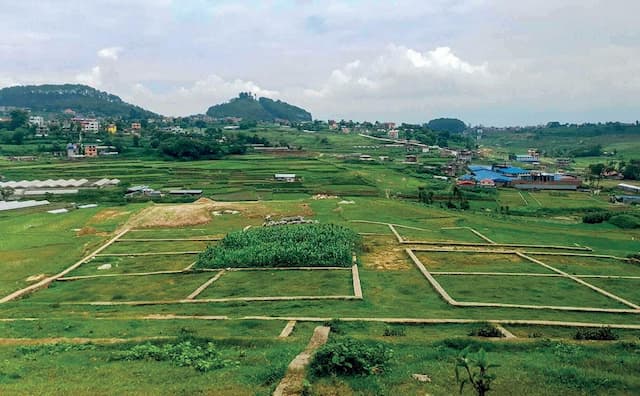 फुकुवा हुँदा पनि बढेन कित्ताकाट, कैलाली बन्यो पहिलो