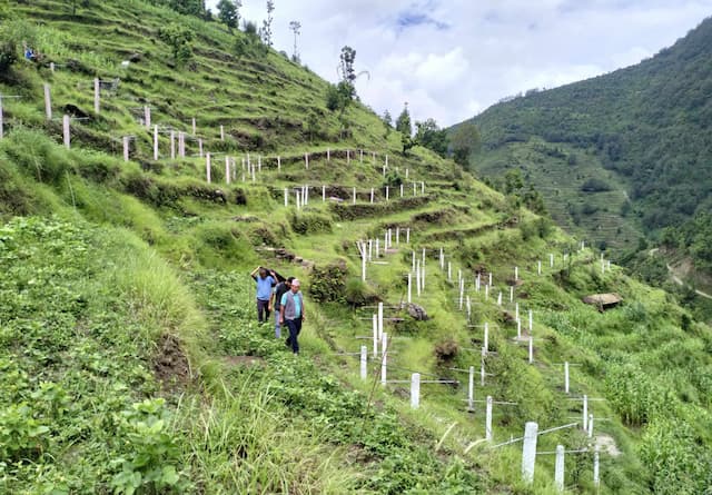 बागलुङमा साढे १८ सय रोपनी जग्गामा चक्लाबन्दी, बाँझो जग्गा हराभरा