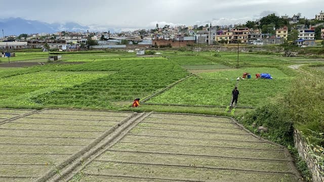 माघ र फागुनमा घरजग्गा कारोबार उस्तै, राजश्‍व संकलनमा भने बढोत्तरी